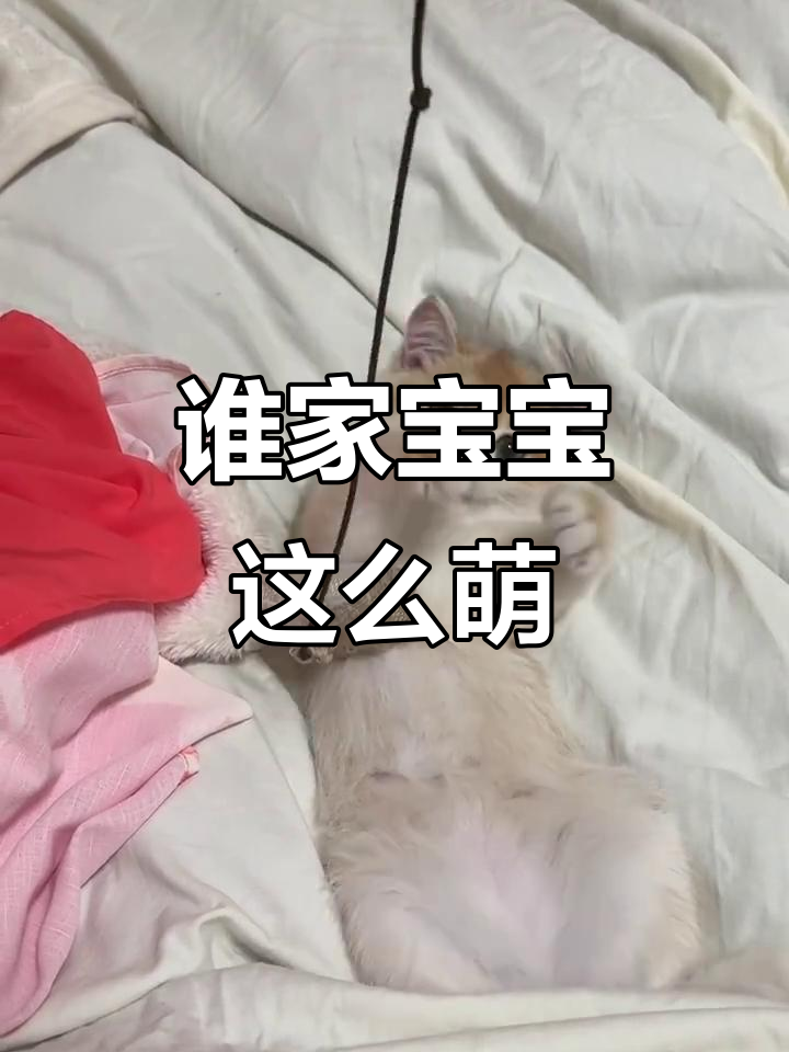 关于宝宝躺着摄影拍摄视频教程的信息