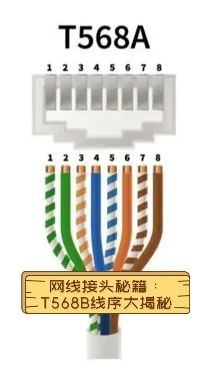 网线接头秘籍:t568b线序大揭秘