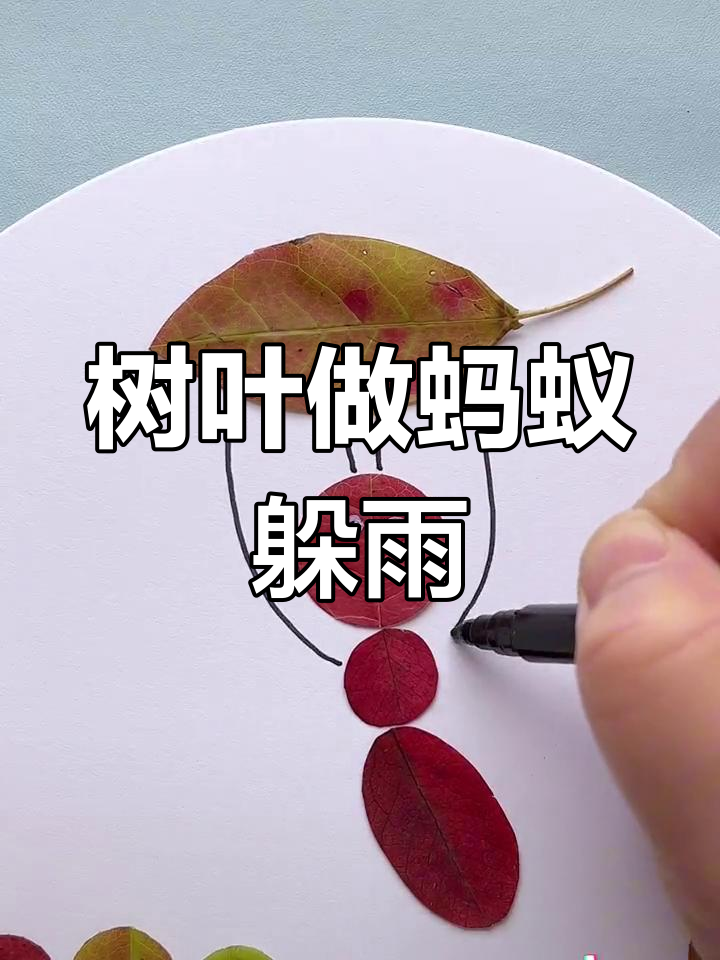 用秋叶制作蚂蚁避雨手工贴画
