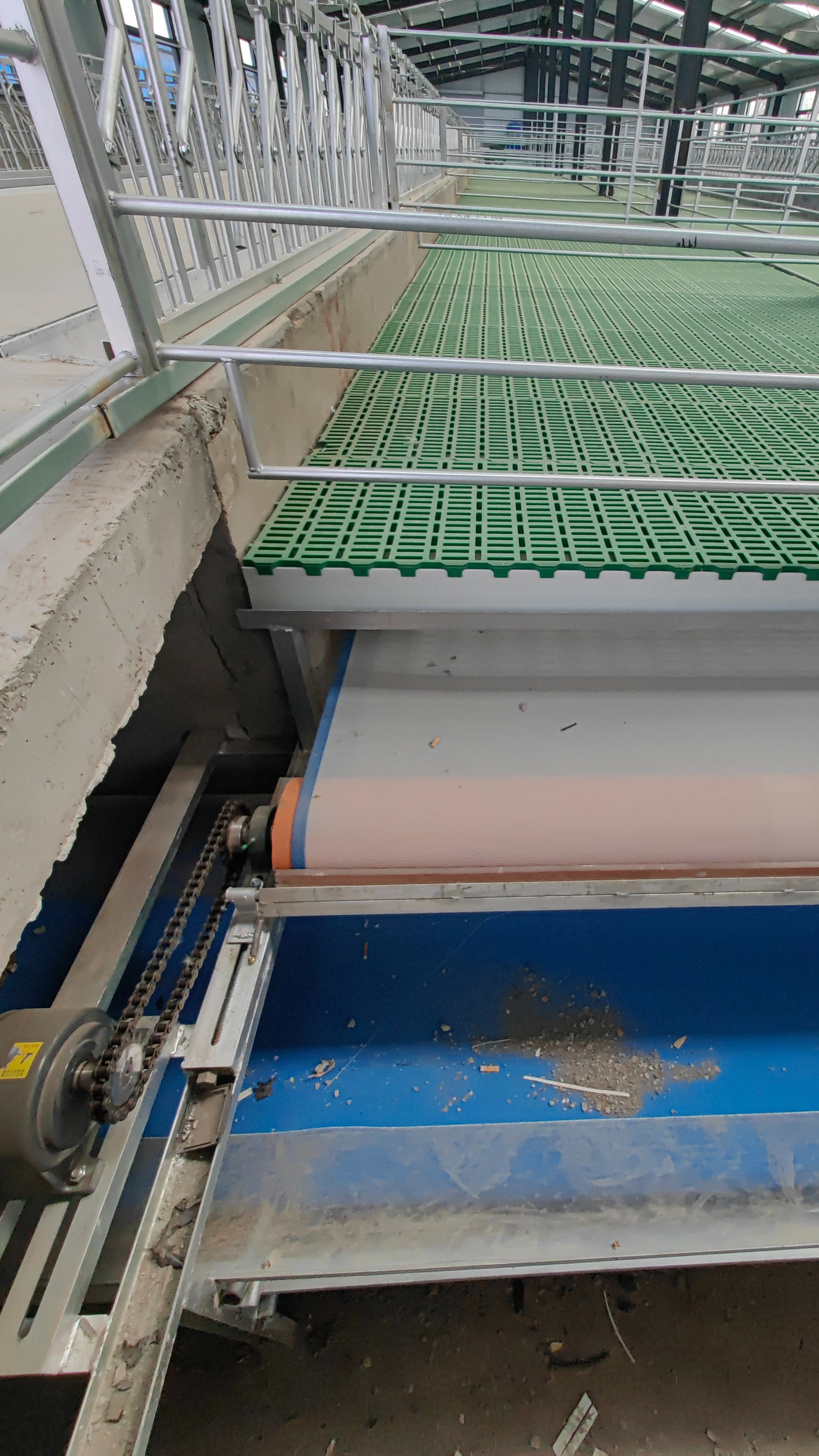 羊场清粪机让清粪效率翻倍,解放双手