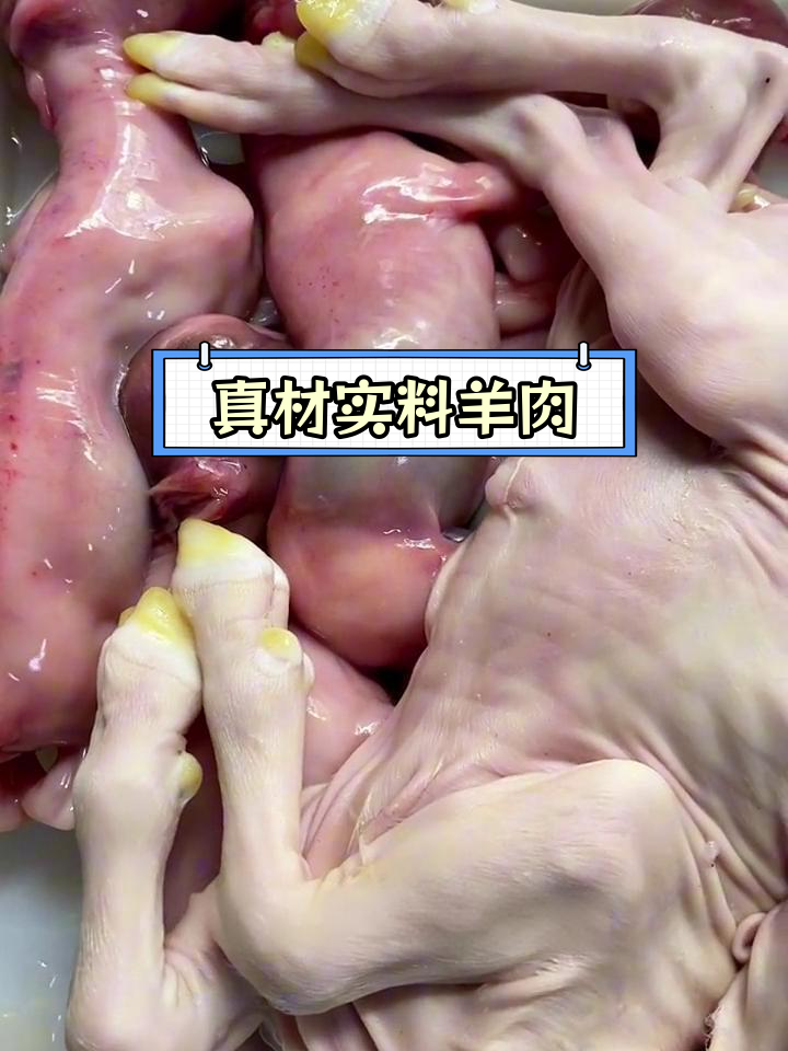 牛乳蒸羊羔图片