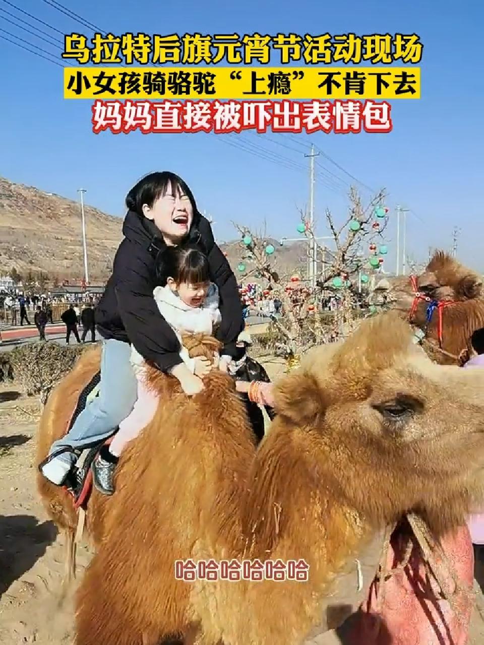 小女孩骑骆驼上瘾不肯下去妈妈直接被吓出表情包网络中国节内蒙古元宵