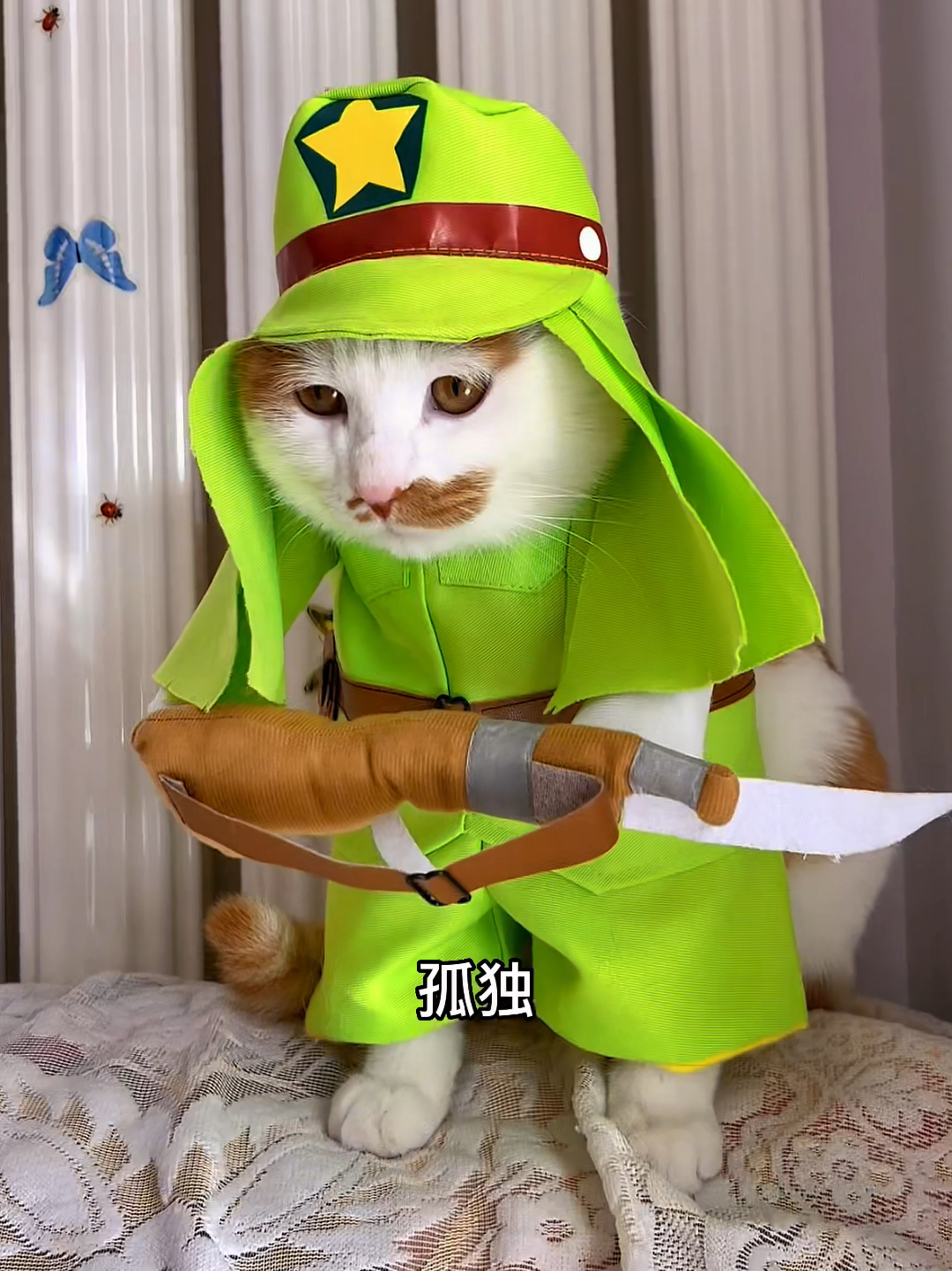 一只成熟的八嘎猫需要具备以下几点