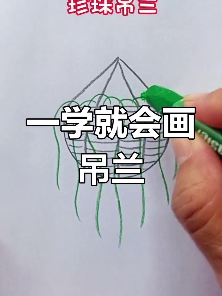简单几步画出吊兰,孩子们也能轻松学会