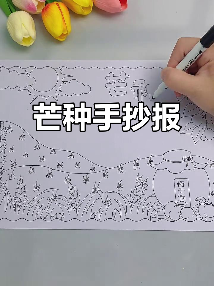 芒种节气手抄报:南方稻田忙,北方麦收急