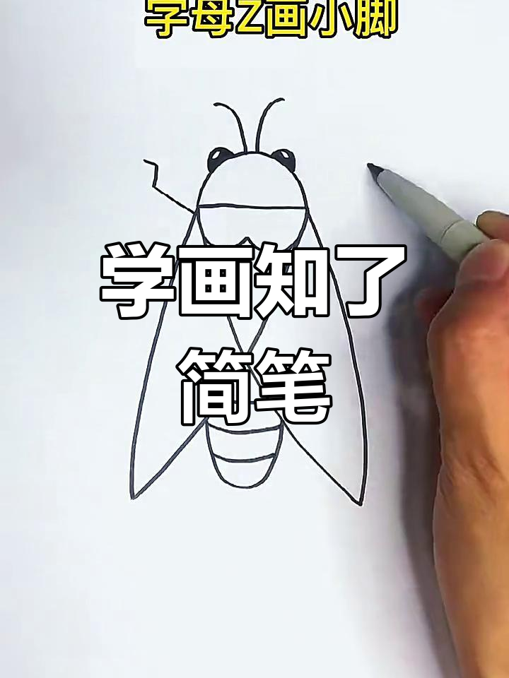轻松学画知了(蝉)简笔画,步骤简单有趣