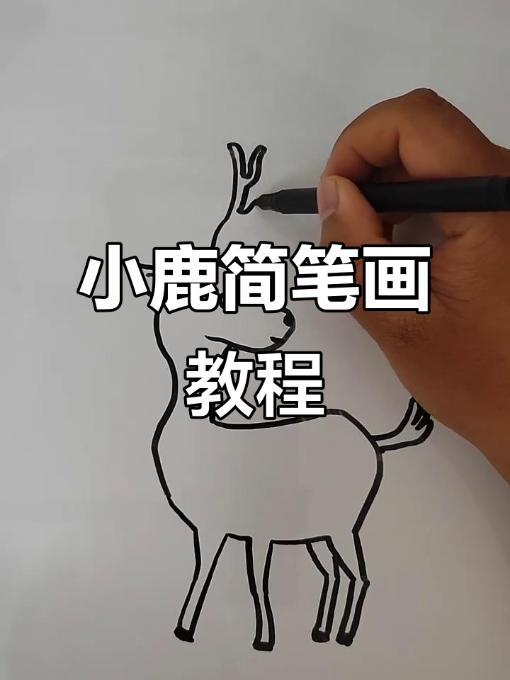 轻松学画可爱小鹿,简单又有趣