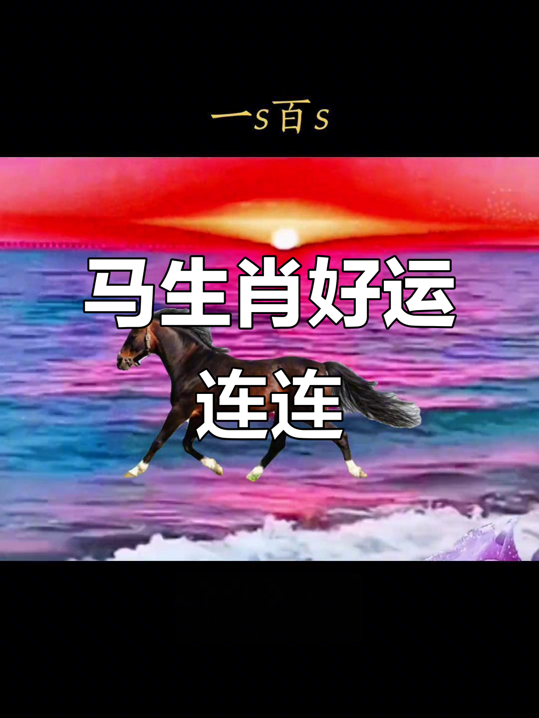 兔年的运势生肖马(兔年马的运势及运程)