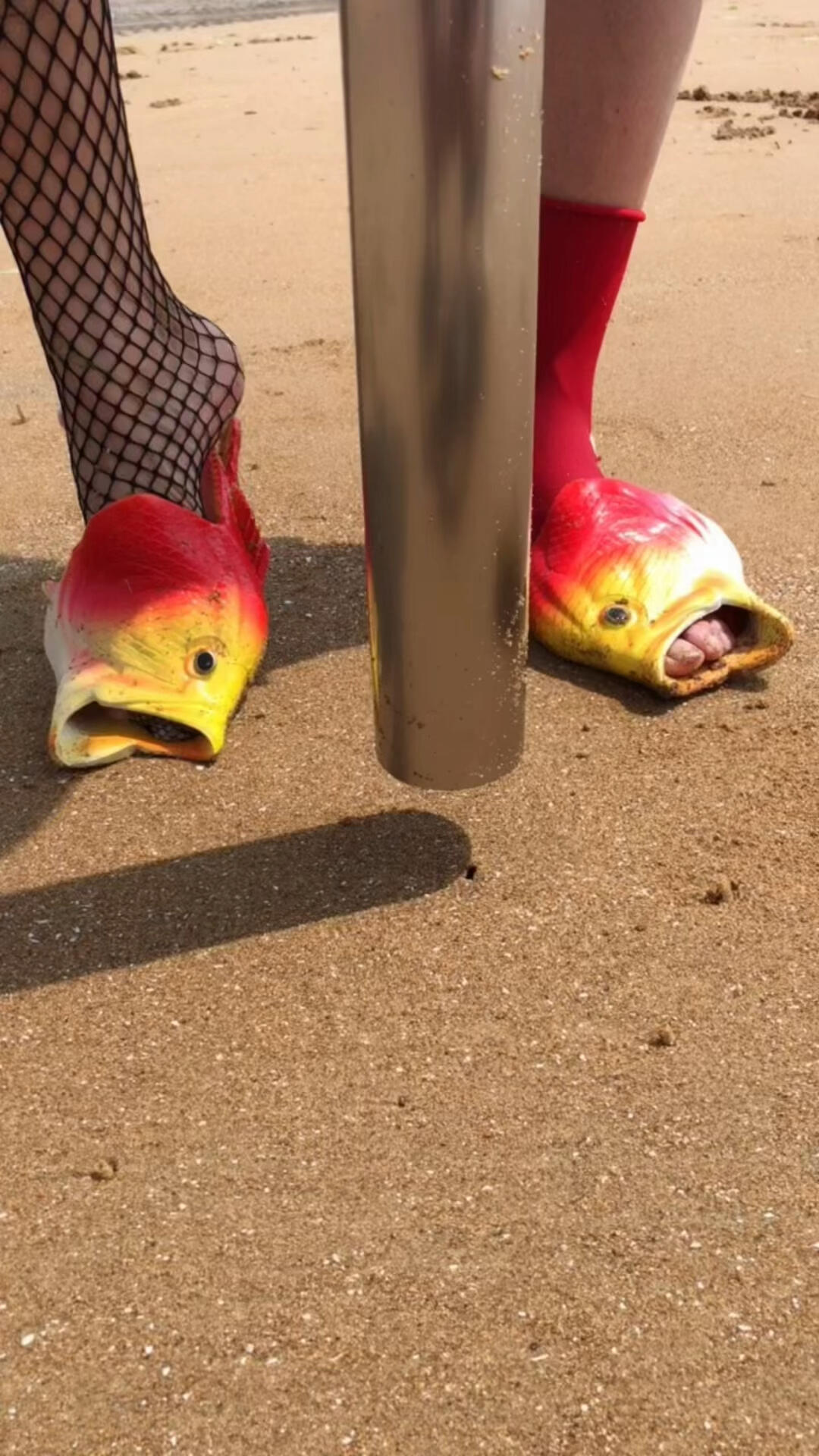 今天教大家怎样捉海肠你们学会了吗