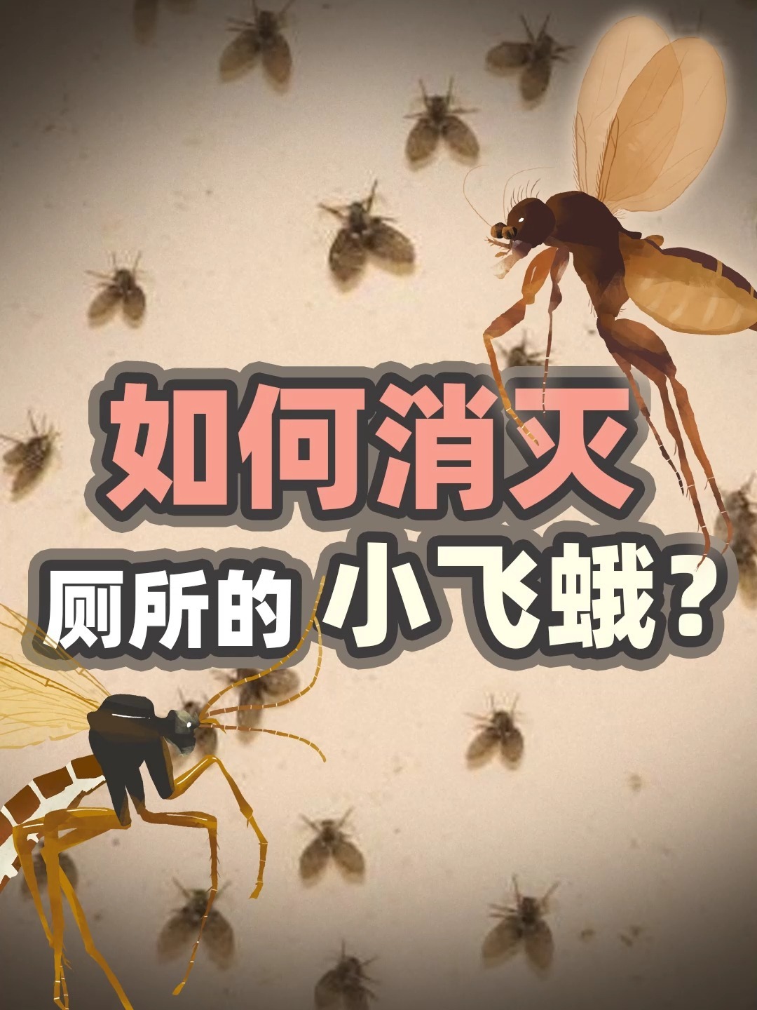 如何消灭厕所里的"小飞蛾"?