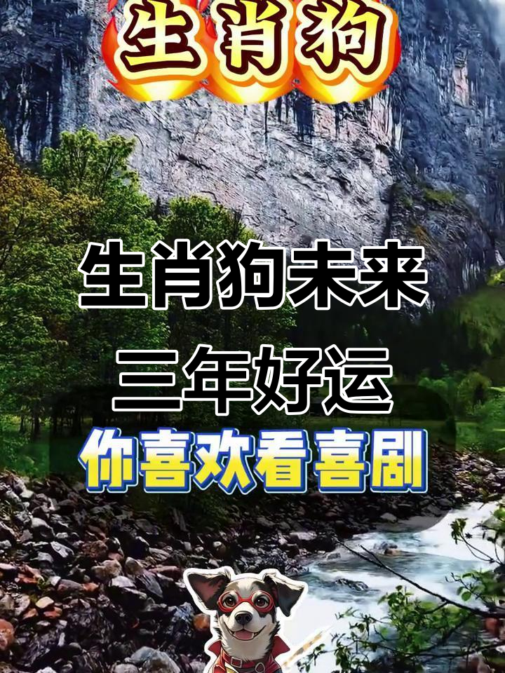 属狗人遇到各生肖运势(属狗遇狗年运势如何)