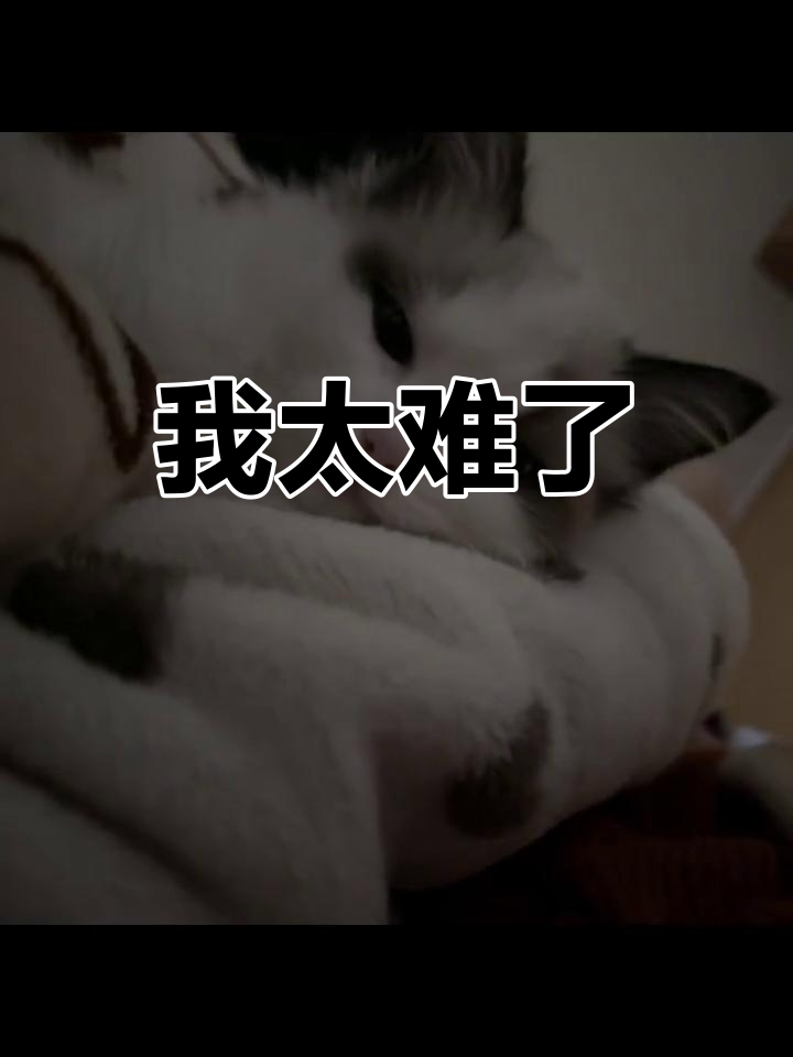 太难了,我知道回不去了