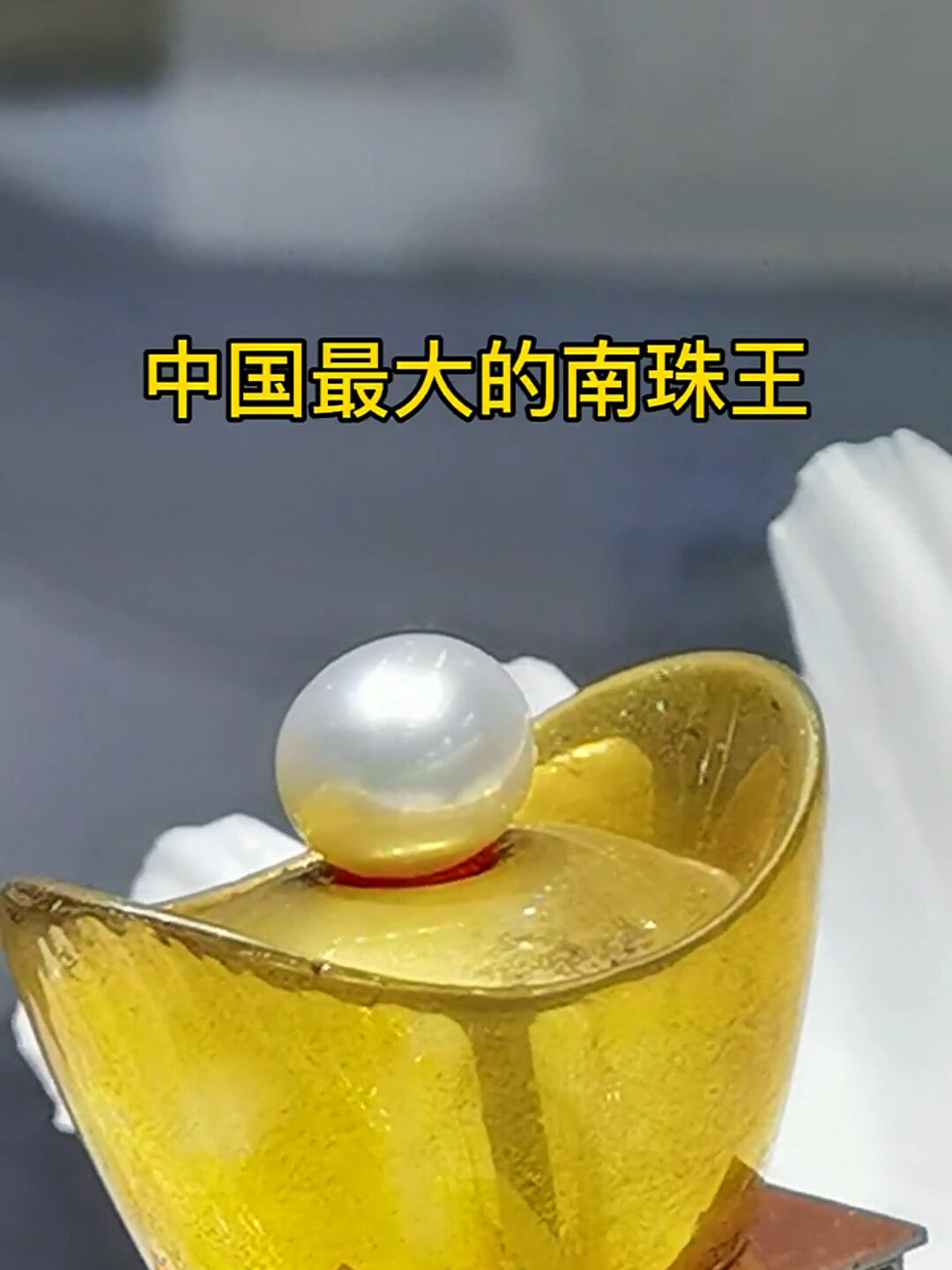 中国最大海水珍珠,南珠之王,一个亿南哥都不