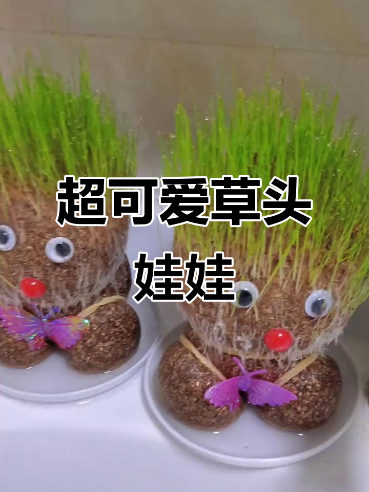 草头娃娃长出新发型,超萌治愈系小绿人