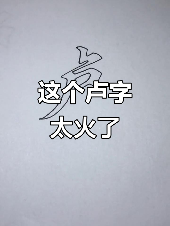 卢姓的独特魅力,评论区点赞不断