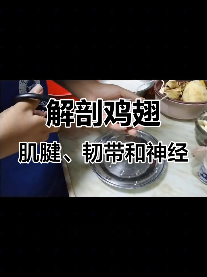 解剖鸡翅,揭秘肌肉与神经的奥秘