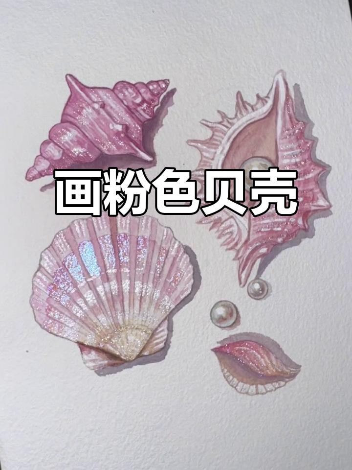 画出粉色贝壳,美丽又可爱