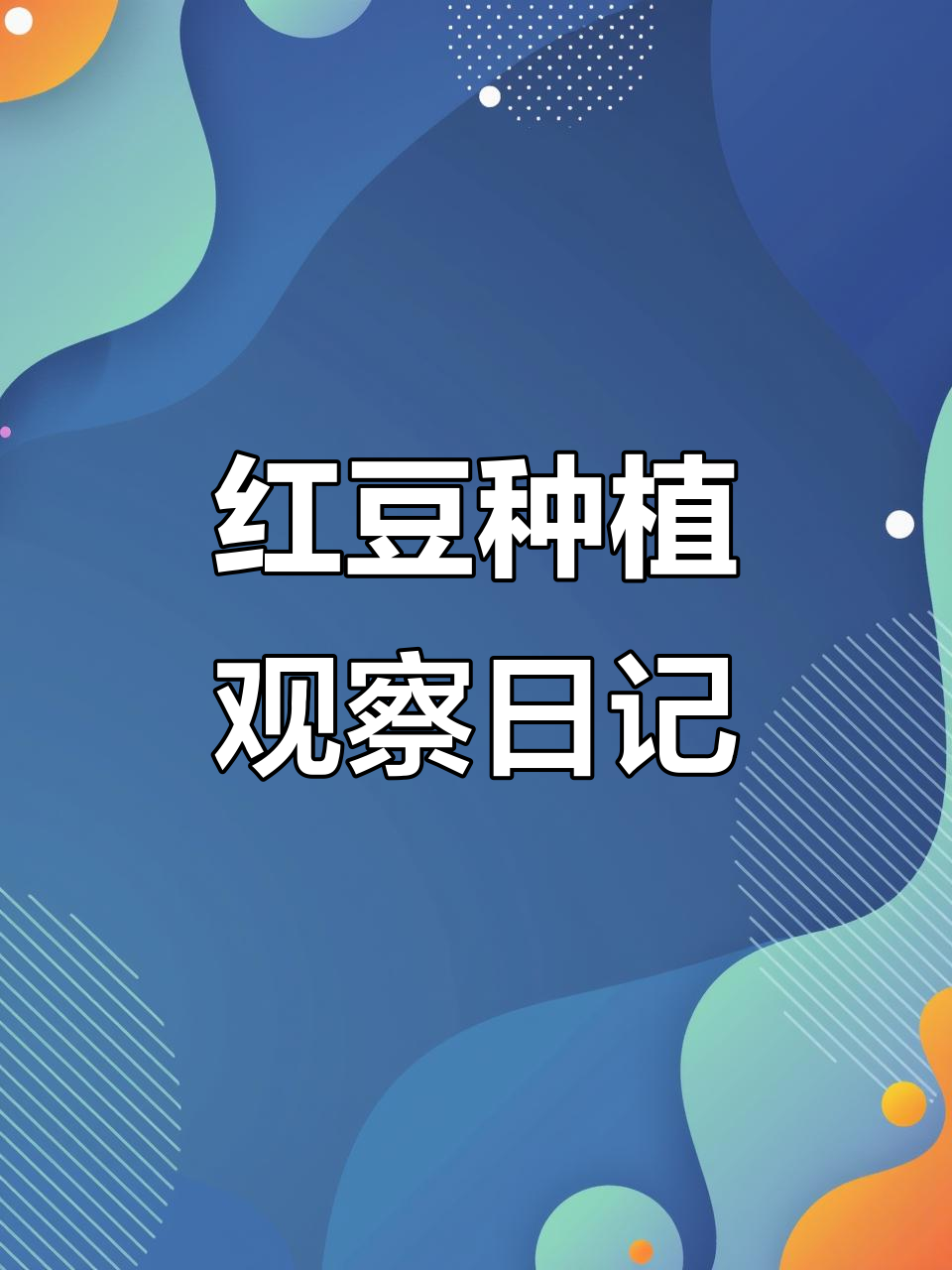 四年级学生观察红豆生长,记录植物变化全过程