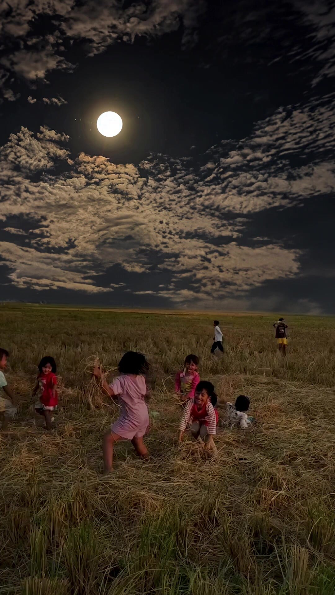 真不骗人,我90后,小时候夏天的夜晚就是这么亮,月光能照亮整个大地