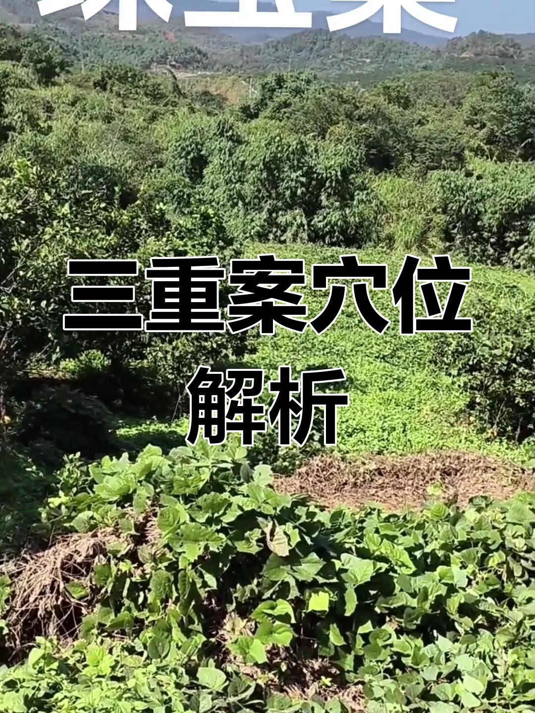 青龙转案,元唇开圆孕