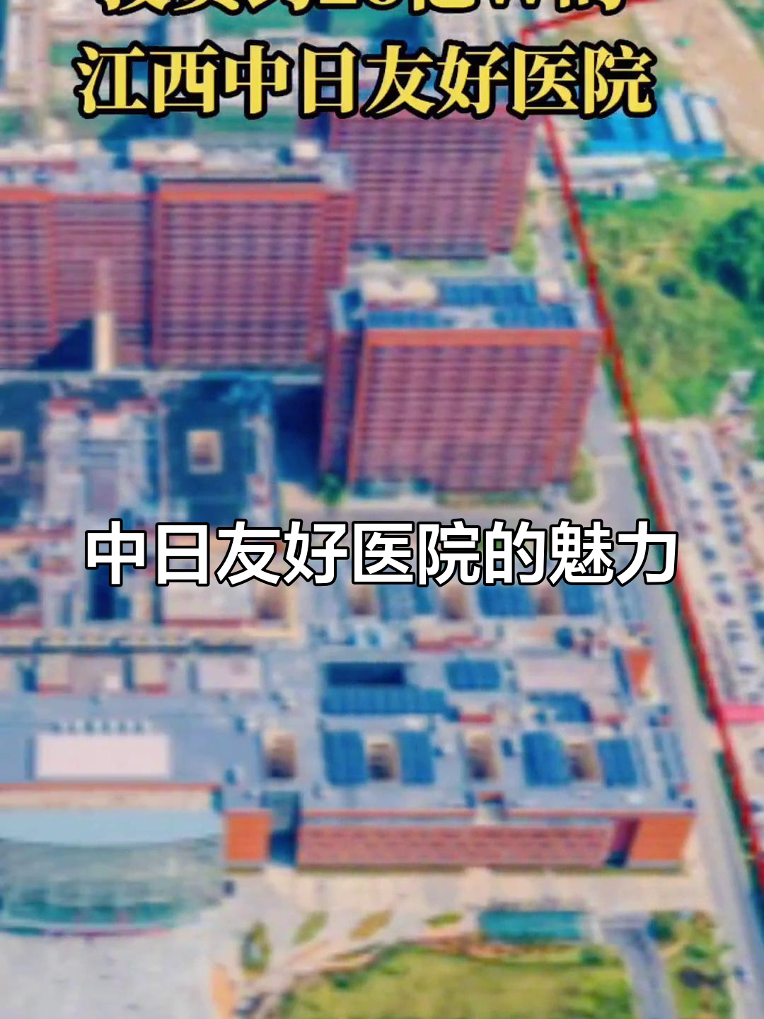 包含中日友好醫院、順義區代幫掛號，良心辦事實力掛號的詞條