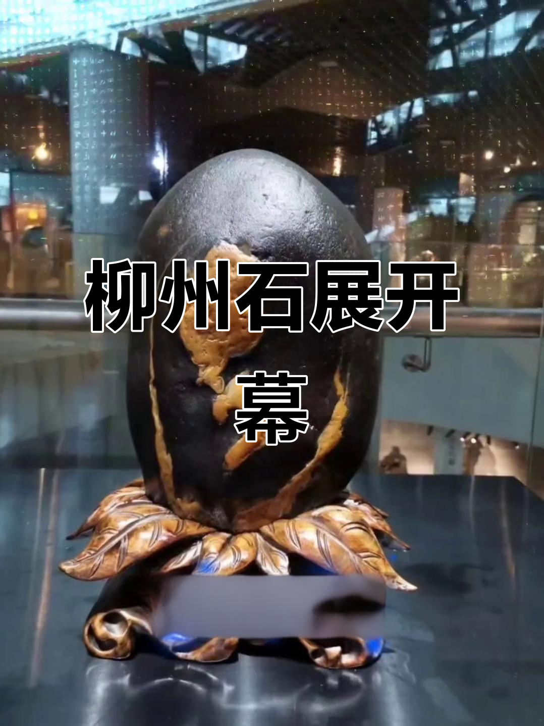 柳州奇石展盛大开幕,精美石头齐亮相