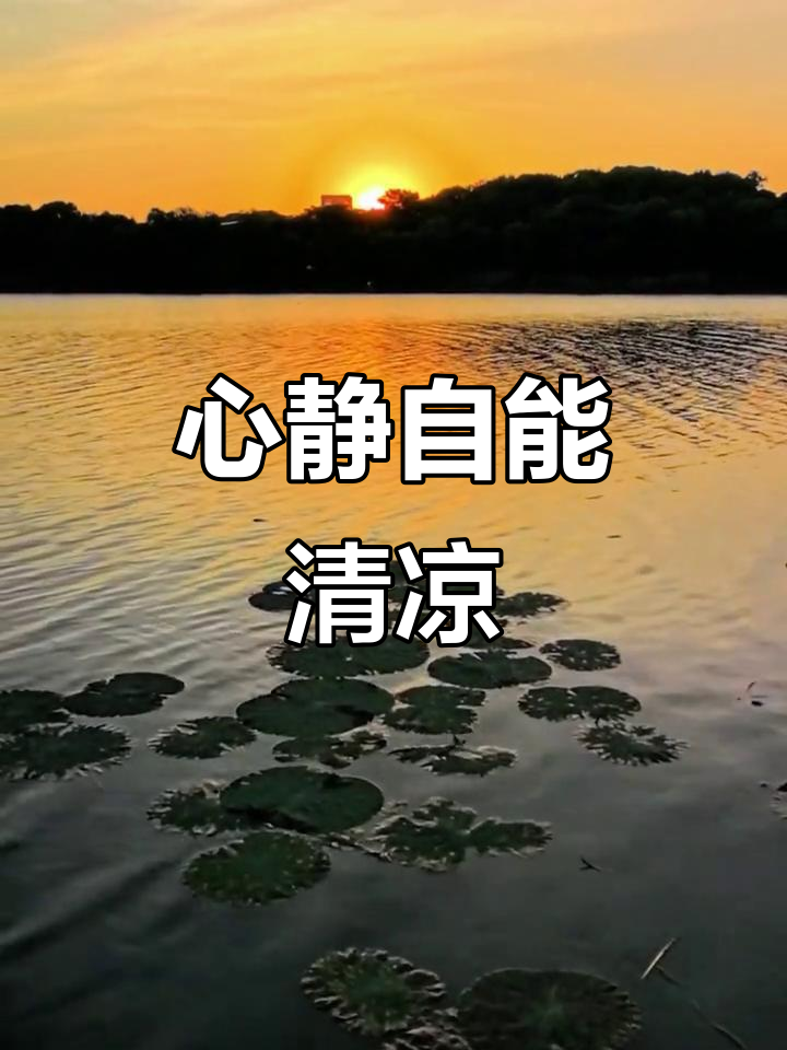炎热夏季,心静自然凉,消暑秘诀在于平静