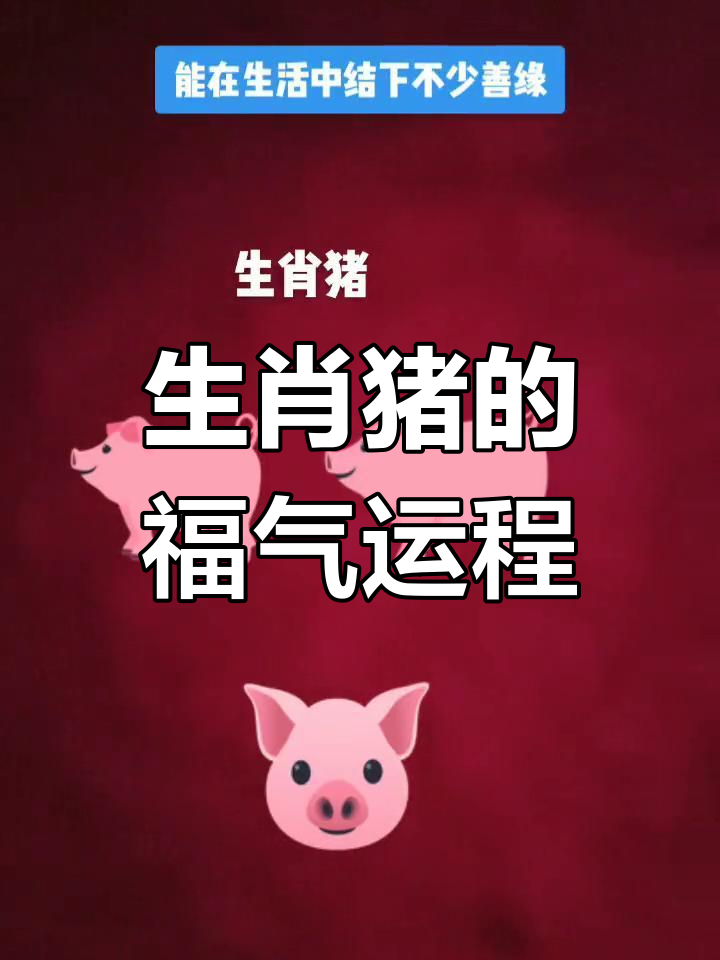 2007年生肖猪运势(2007年属猪运程)
