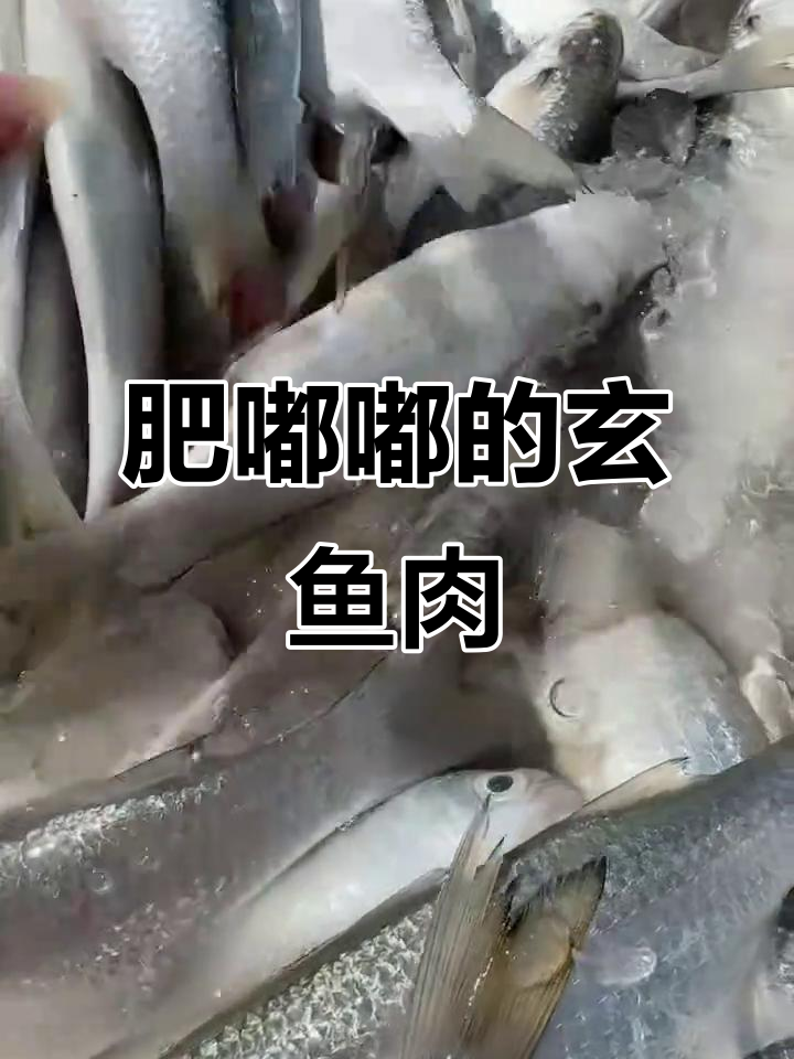 野生玄鱼鲜美无比,细腻奶香让人怀念大海的味道