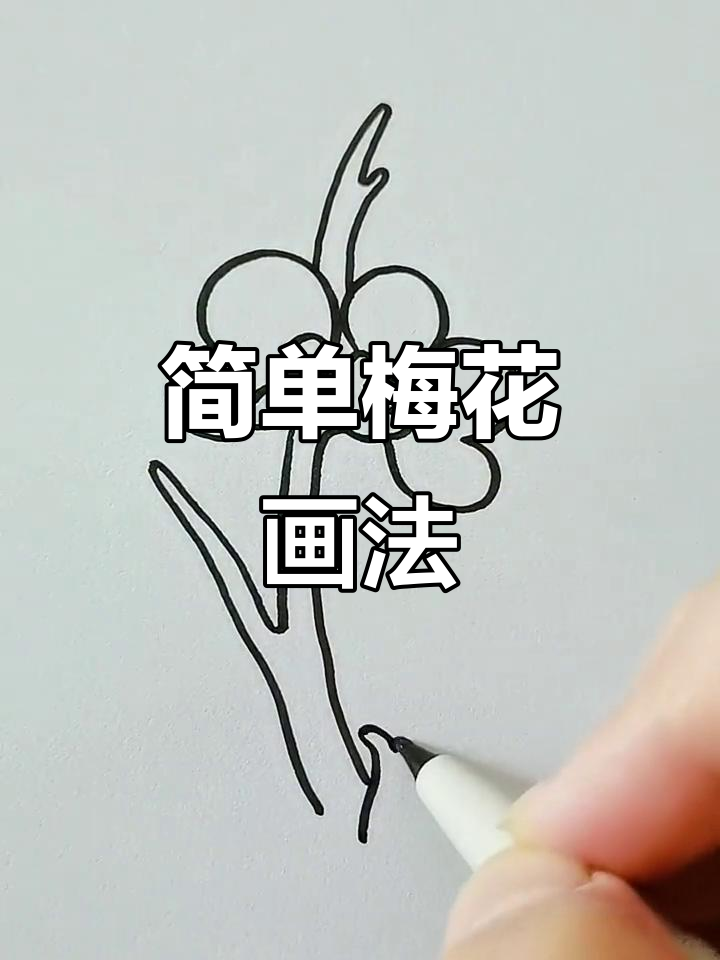 亲子简笔画:梅花教程,轻松学会