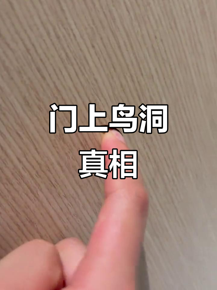 卫生间门上的神秘鸟洞,竟然真实存在!