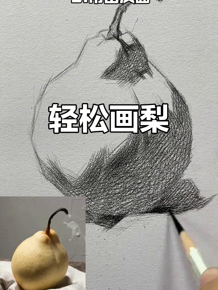 五步学会素描梨,艺考生必看技巧