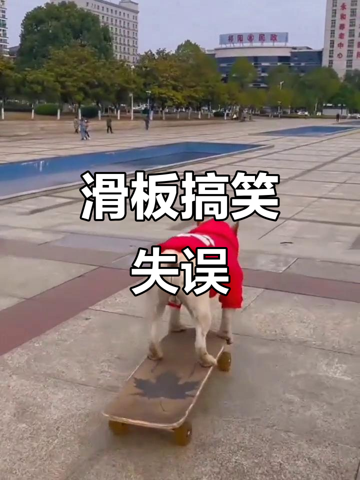 滑板失误大揭秘,笑到不行!