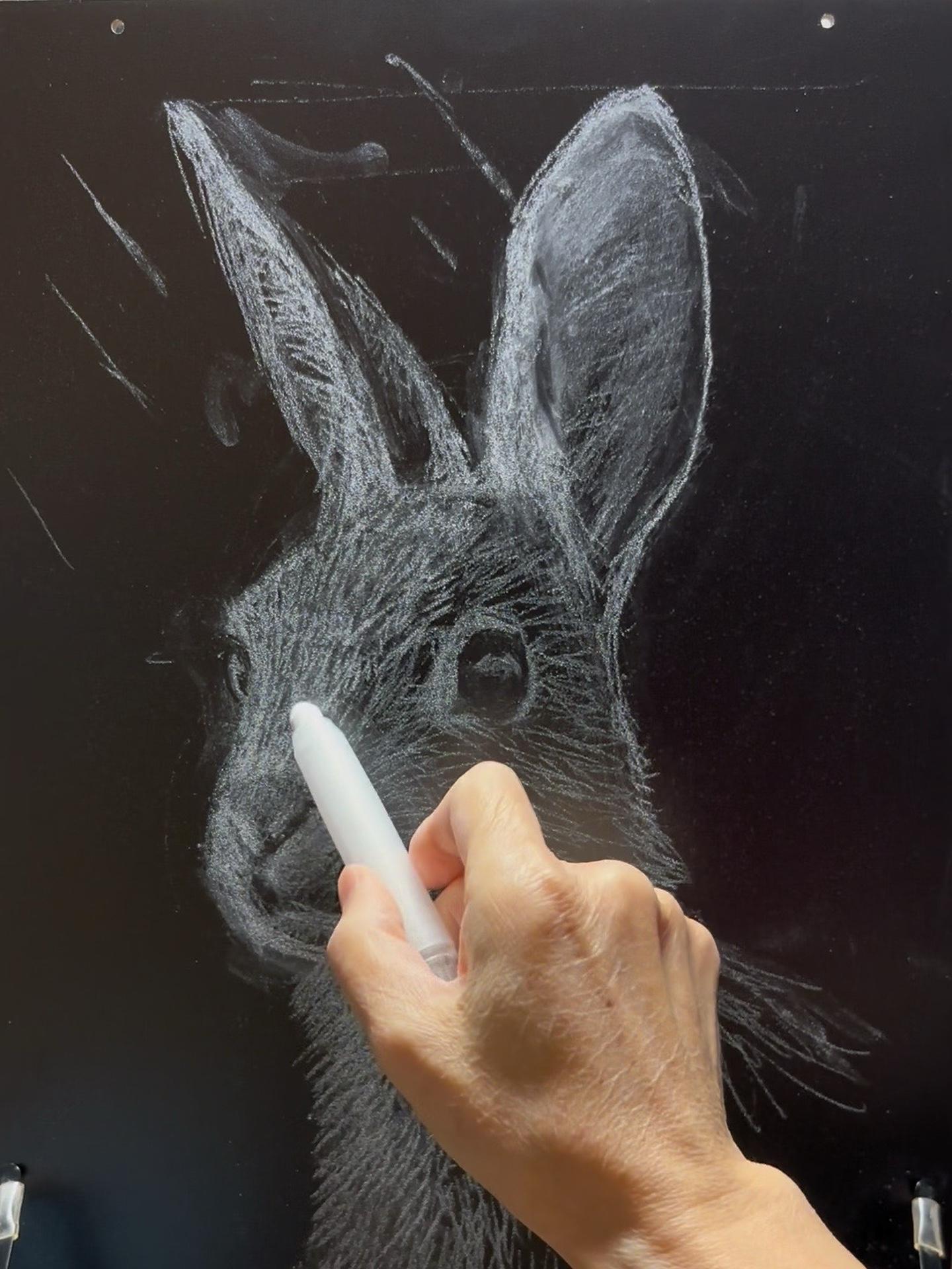 黑板粉笔画动物兔子 这是粉笔作画的天花板吧 灵魂画手 黑板报大神