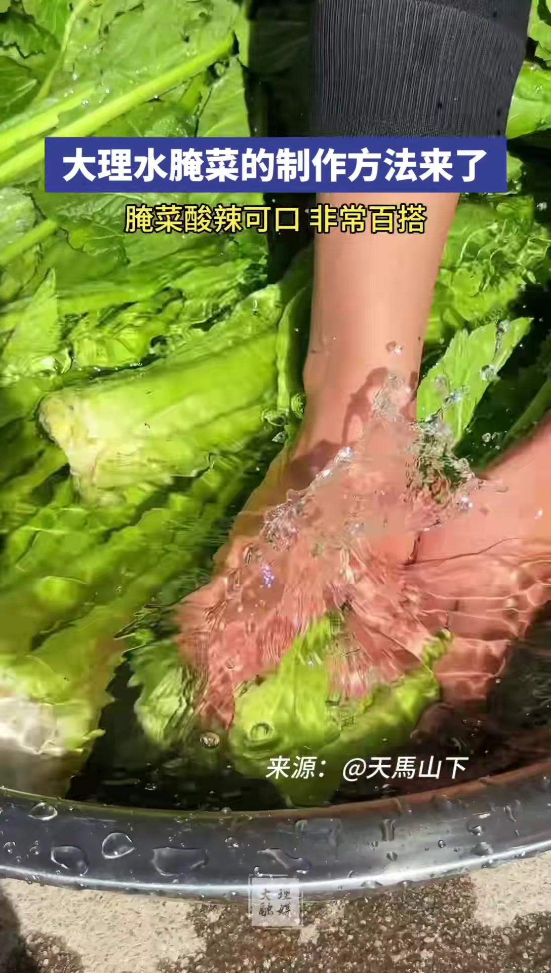 水盐菜制作方法图片