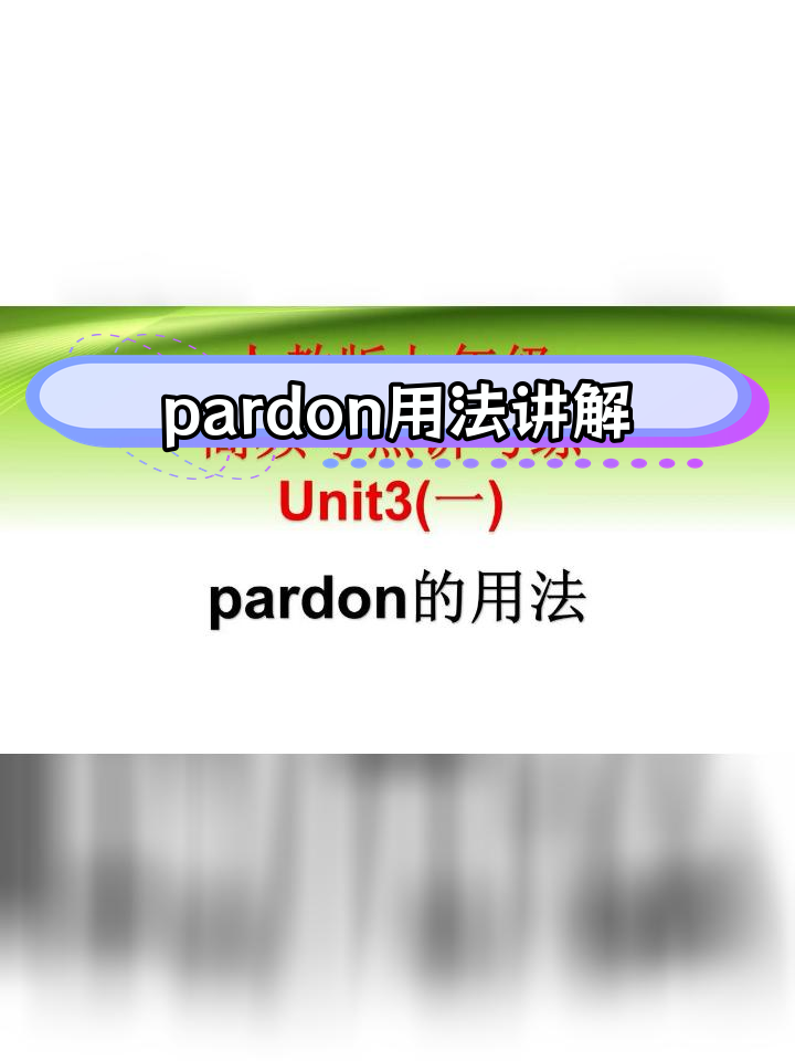 九年级英语高频考点解析 pardon的用法