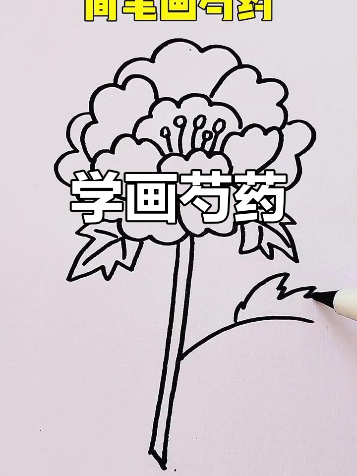 简单步骤教你画芍药,轻松上手!