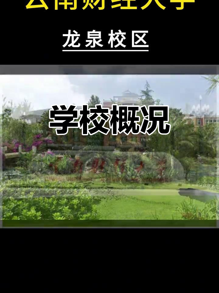 云南财经大学在哪个校区(云南财经大学哪个校区最好)