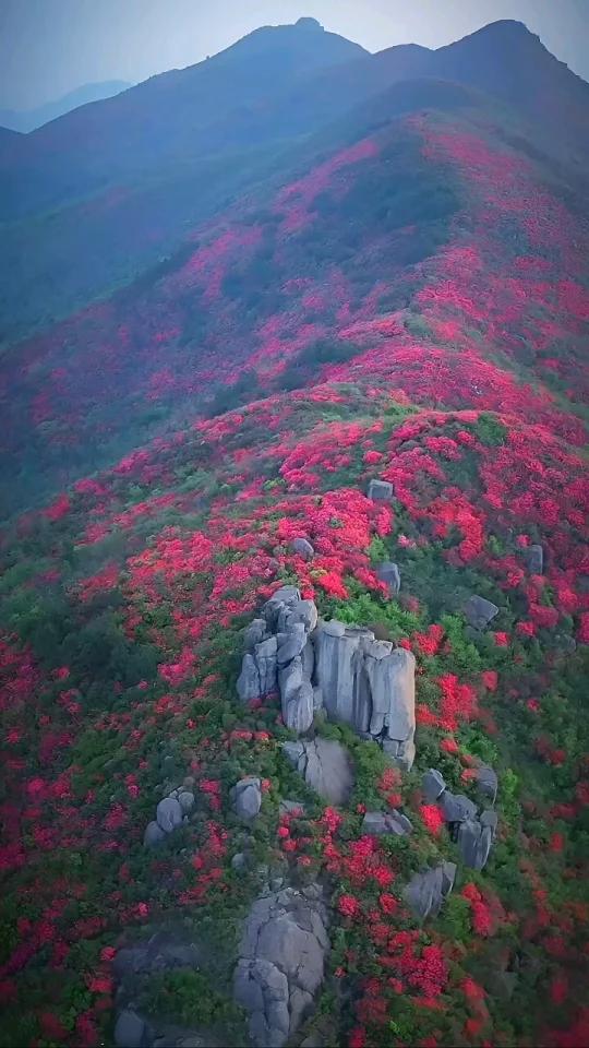 丰城周边自驾游景点图片