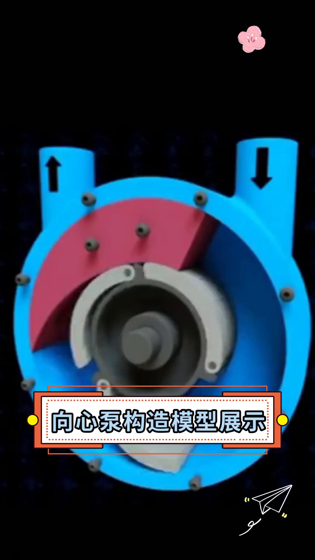 向心泵构造模型展示