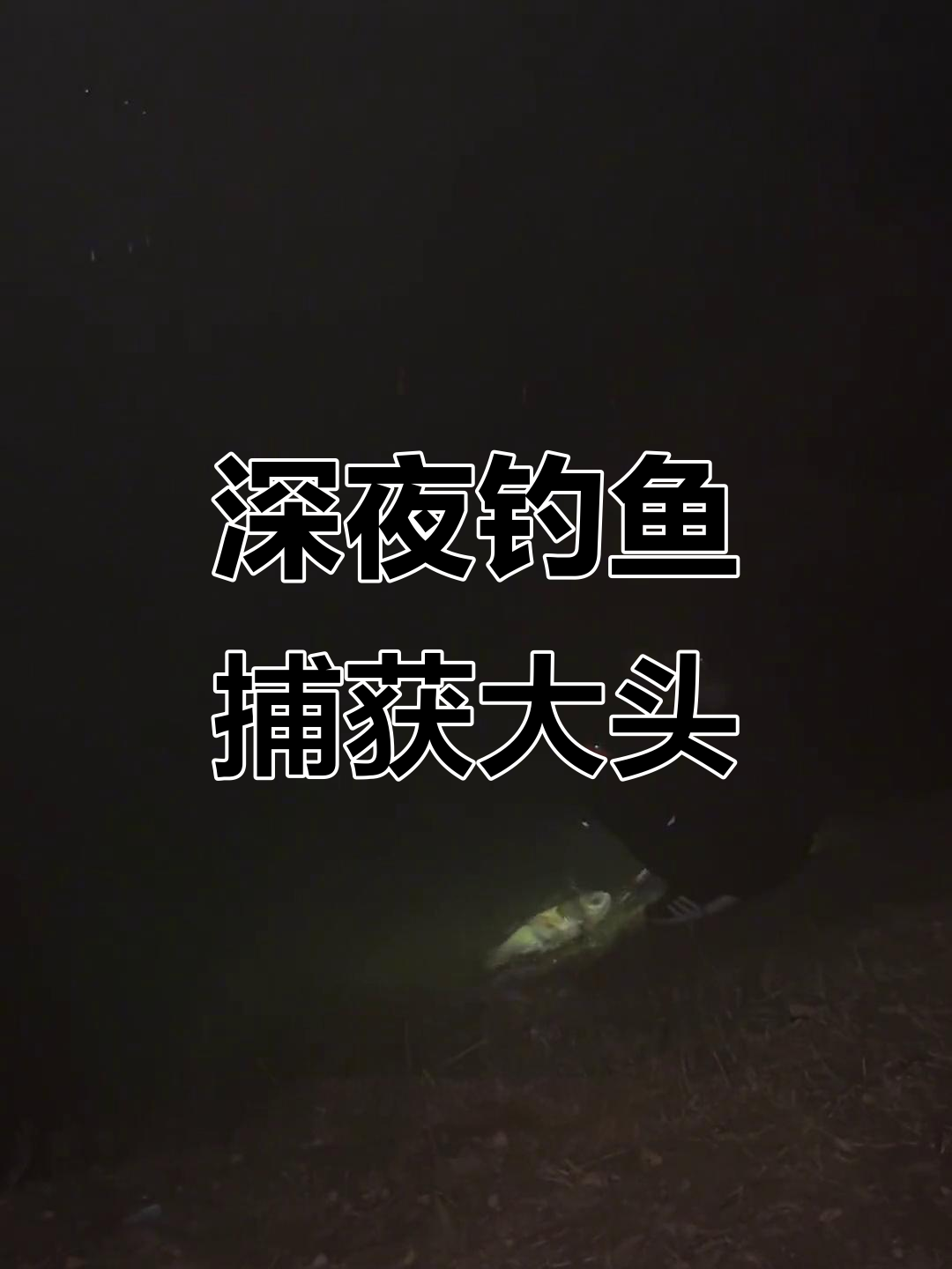 夜钓鲢鳙,20米深水浮钓大头鱼