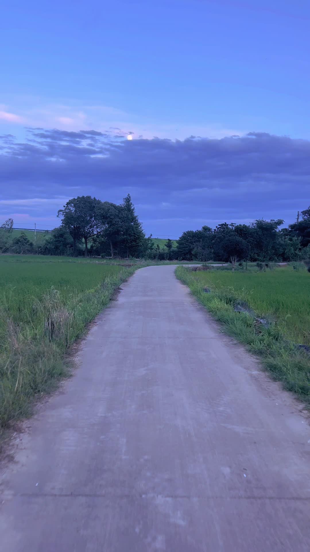 乡间小路自然风景 乡野田间 记录家乡美景