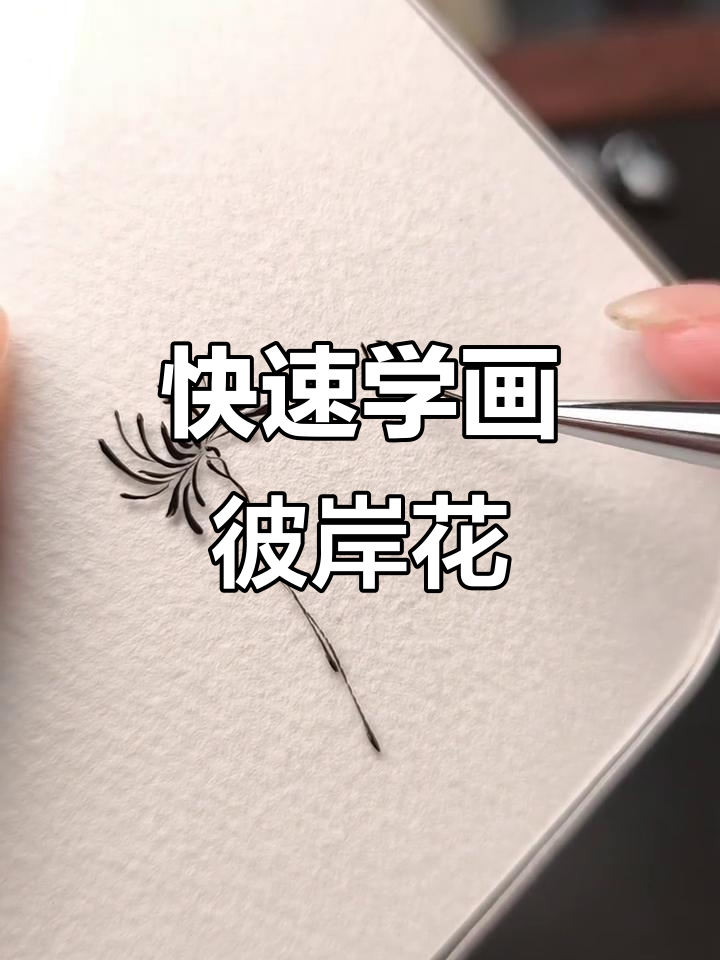 30秒学会画彼岸花,简单又好看