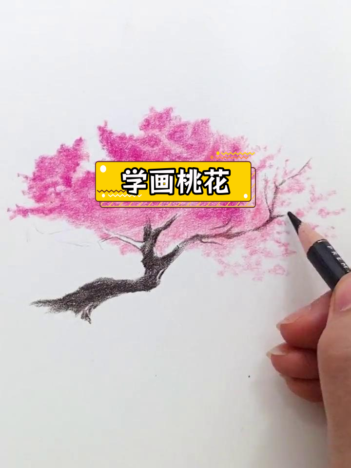 彩铅教学详细步骤图片图片