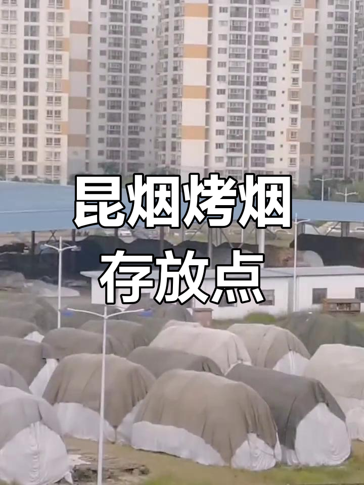 烤烟 卷烟图片