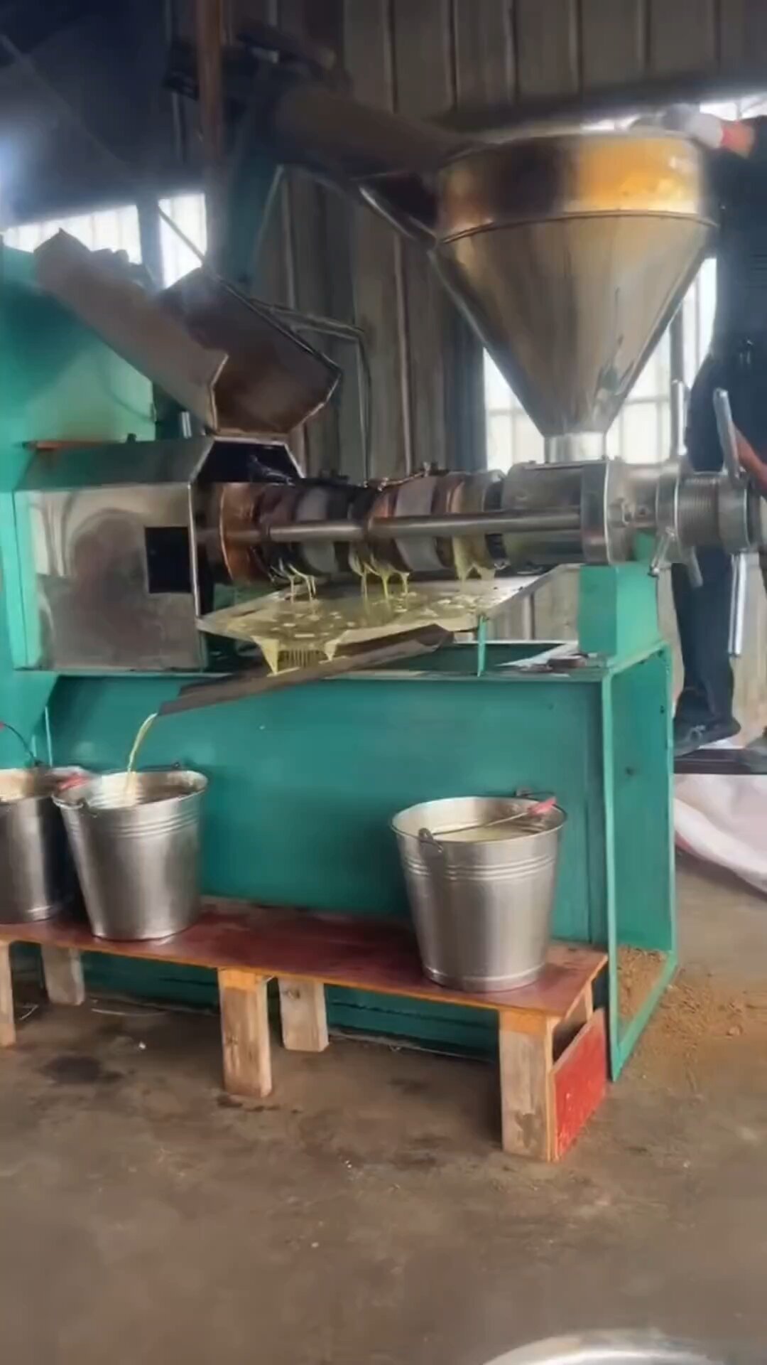 多功能125型螺旋榨油机冠军版 菜籽榨油机
