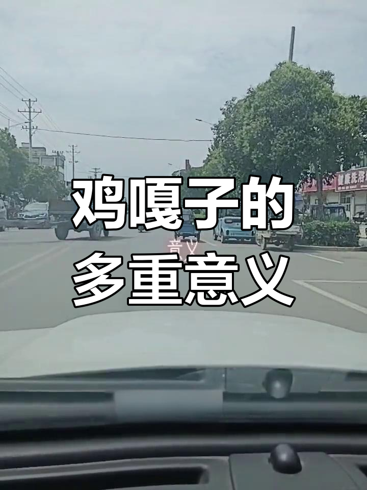 安徽画中的鸡嘎子:寓意与象征