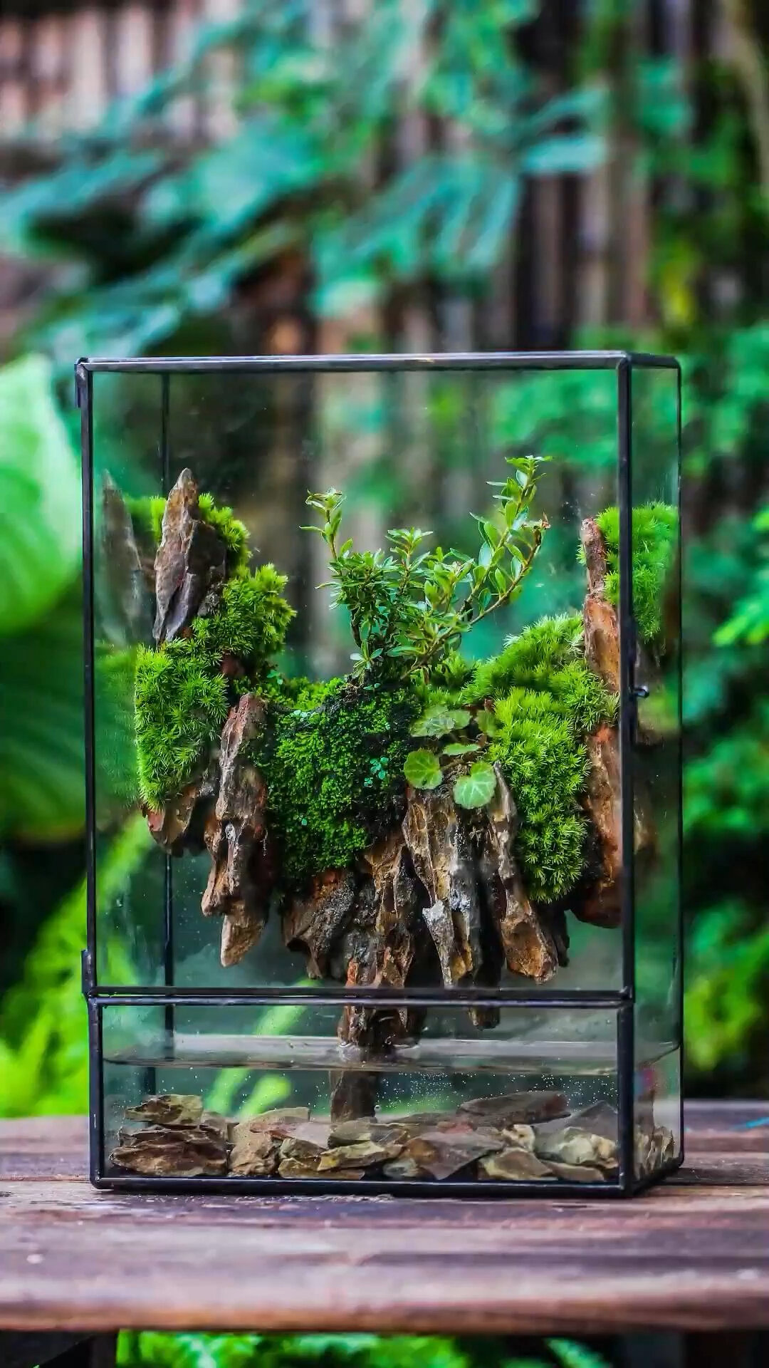 桌面假山微景观制作过程