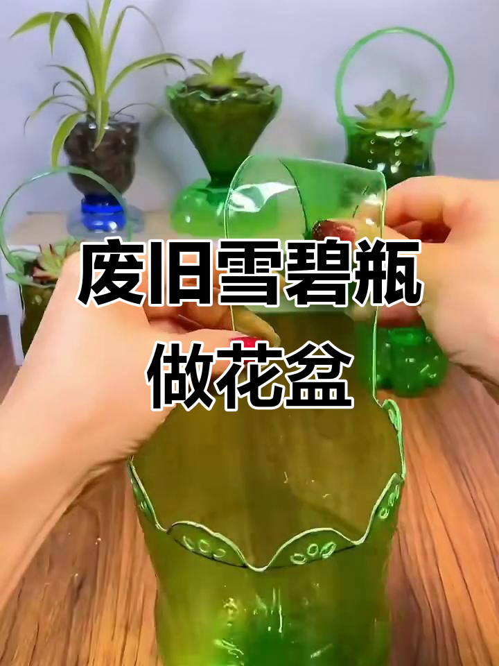 雪碧瓶变花盆,手残党也能轻松diy