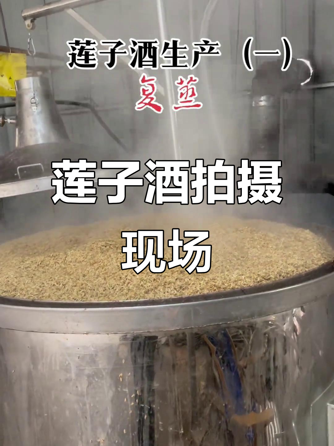 莲子酒现场实拍,香气扑鼻!